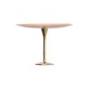 Rose Gold Cake Holder on a Brass Pedestal by Anna Vasily - Measure View