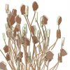 AnnaVasily - Agapa is a table centrepiece in the form of a flower bouquet in dark doe brown supported on a hand crafted bronze base.-Detail View