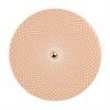 Rose Gold Platter with Polished Brass Handle Designed by Anna Vasily - Top View
