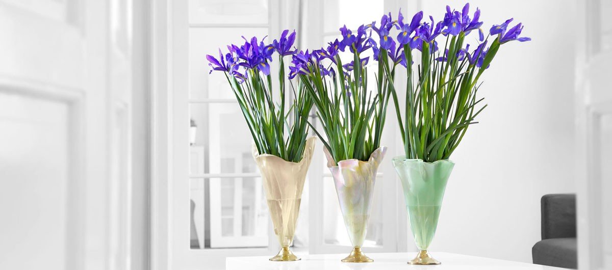 Purple Irises in Designer Glass Flower Vases With Bronze Pedestals in Pink, Mint Green and Beige by AnnaVasily