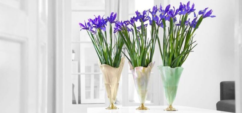 Vases with flowers