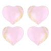 Pink Heart Plates for Romantic Valentine's Day in Bed by Anna Vasily - Set View