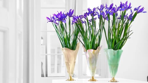 Decorative glass vases for home decor and centerpieces with the products Thais, Merry & Paris by Anna Vasily.